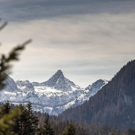 Berkristall Mit Hallenbad Appartement